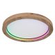 Kattovalaisin Globo Branza RGB Ø 40 cm IP20