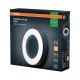 LED-ulkoseinävalaisin Osram Endura Style Ring tummanharmaa Ø 20,2 cm IP54