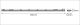 LED-yleisvalaisin Osram Submarine 2 x 19 W valkoinen 1,5 m IP65