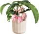 Suojaruukku Elho Facet 14 cm beige