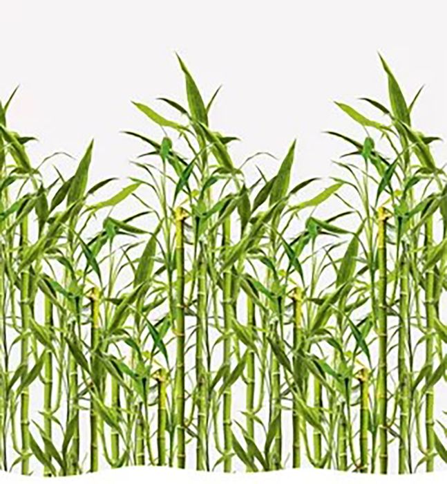 Tekstiilisuihkuverho Diaqua Bamboo Vihreä/Valkoinen 180 x 200 cm