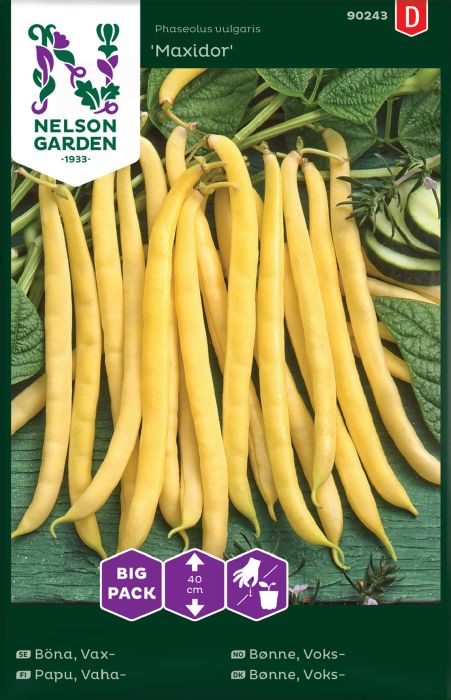 Vahapapu Nelson Garden Maxidor Big Pack