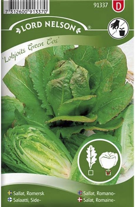 Sidesalaatti Nelson Garden Lobjoits Green Cos