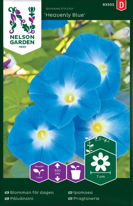 Päivänsini Nelson Garden Heavenly Blue