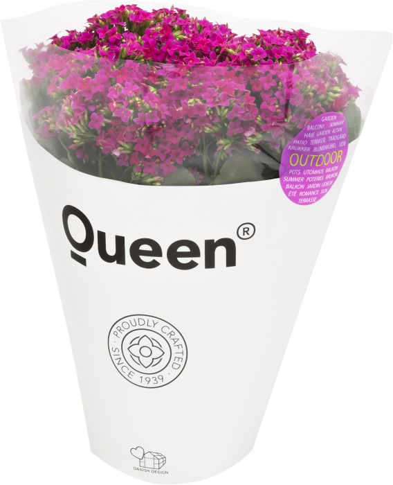 Patiotulilatva Ø 21 cm