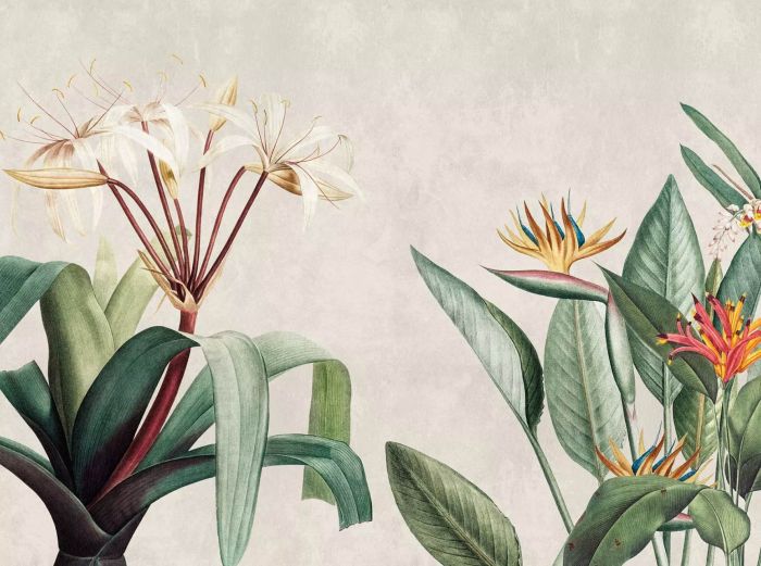 Fototapetti A.S. Creation Stories of Life 39917-1