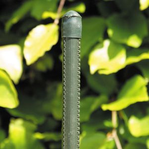 Kasvi-/aitatolppa Muovitettu 13 mm x 125 cm Vihreä