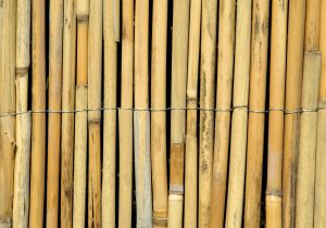 Näkösuoja Bamboo 150 x 300 cm