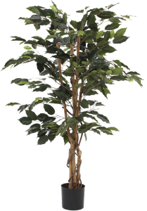 Silkkikasvi Ficus Benjamina 110 cm