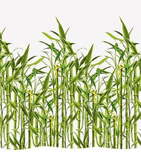 Tekstiilisuihkuverho Diaqua Bamboo Vihreä/Valkoinen 180 x 200 cm