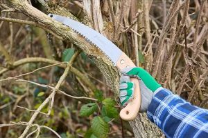 Oksasaha Gardol Comfort kaareva GDS46