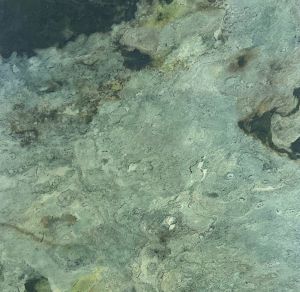 Seinäpaneeli Jangal Patina Slate 52 x 52 cm