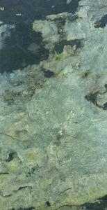 Seinäpaneeli Jangal Platina Slate 52 x 104 cm