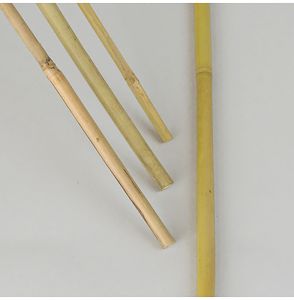 Kukkakeppi bambu 100 cm 10 kpl