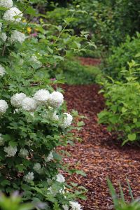 Kuorikate Greencare 50 l lava 70 säkkiä