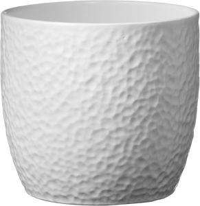 Suojaruukku Boston mattavalkoinen 21 cm