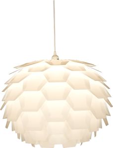 Riippuvalaisin Aneta Carpatica