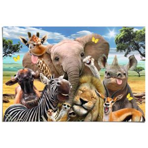 Juliste Reinders 006 61 x 91,5 cm