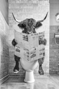 Juliste Reinders 015 61 x 91,5 cm