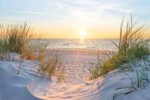 Juliste Reinders 022 61 x 91,5 cm