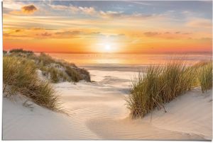 Juliste Reinders 086 61 x 91,5 cm