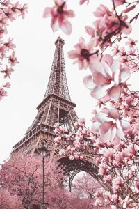 Juliste Reinders 113 61 x 91,5 cm