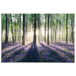 Juliste Reinders 116 61 x 91,5 cm