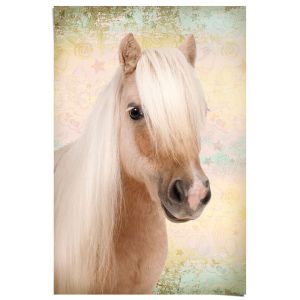 Juliste Reinders 120 61 x 91,5 cm