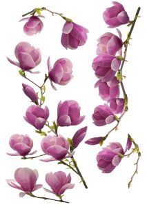 Julistetarra Plage Magnolia