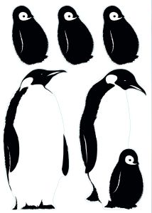 Julistetarra Plage Antarctic
