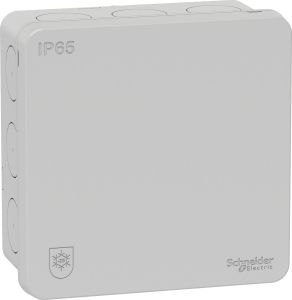 Kalvojakorasia Scheiner Electric Mureva IP65 Harmaa