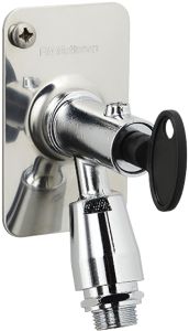 Vesipostihana FM Mattsson 4294-0405 kromi