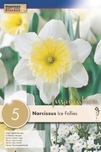 Syyskukkasipuli Kapiteyn Narsissi Ice Follies 5 kpl