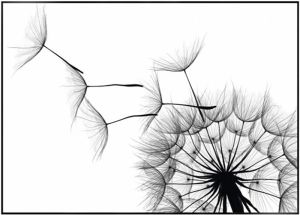 Sisustustaulu Reinders Dandelion 50 x 70 cm
