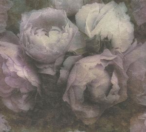 Kuitutapetti A.S. Creation New Wall Iso Ruusu Rosa