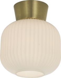 Kattovalaisin Aneta Vanja 20 cm