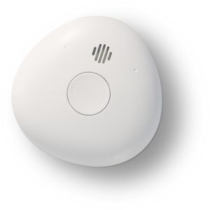 Optinen Palovaroitin Housegard Pebble 10Y