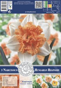 Kevätkukkasipuli Narsissi Collar Hungarian Rhapsody 5 kpl