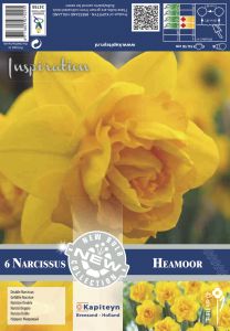 Kevätkukkasipuli Narsissi Double Heamoor 6 kpl