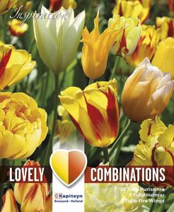 Kevätkukkasipuli Tulppaani Sunny Delight Blend 15 kpl