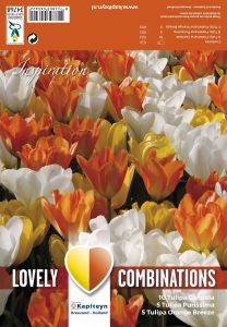 Kevätkukkasipuli Tulppaani White Yellow Orange 20 kpl