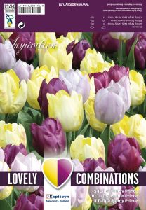 Kevätkukkasipuli Tulppaani Yellow Purple Lila 20 kpl