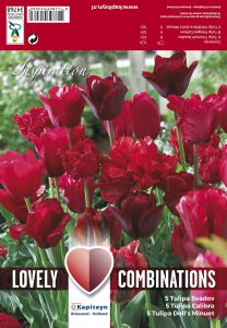 Kevätkukkasipuli Tulppaani Red Shades 15 kpl