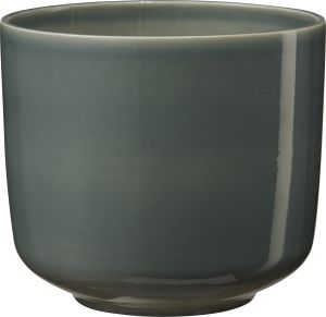 Suojaruukku Bari vihreänharmaa 16 cm
