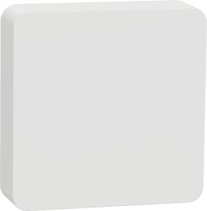 Lämpötila- ja kosteusmittari Schneider Electric langaton Wiser Zigbee