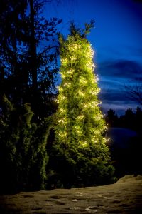 Valoputous Airam Victoria