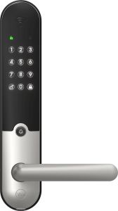 Älylukko Yale Doorman L3 Harjattu teräs