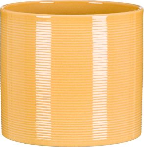 Suojaruukku Scheurich 828 keltainen 16 cm