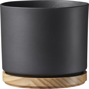 Suojaruukku Oslo antrasiitti 19 cm