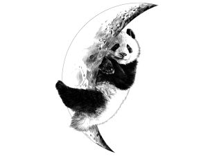 Julistetarra Sleeping Panda 48 x 68 cm